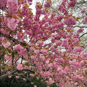 Meet your Posher, Marta